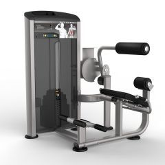 Impulse Escalate Back Extension Machine