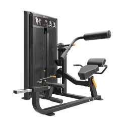 Impulse IF93 Dual Abdominal and Back Extension Machine